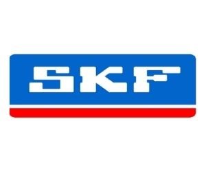 skf queretaro