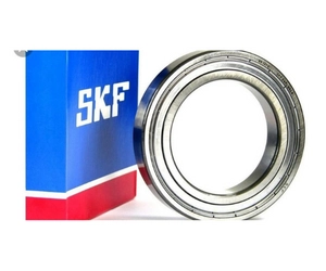 6207 zz skf