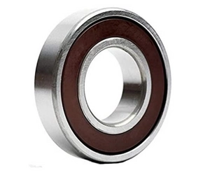 skf 6300